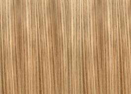 Wood Texture Bronze Rings Of A