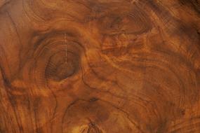 Wood Brown Nature
