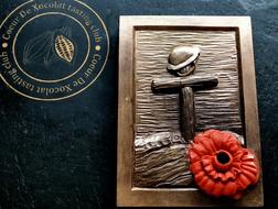red poppy on chocolate