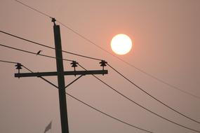 Electricity Wire Power sun