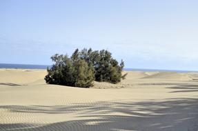 Gran Canaria The Sand Dunes