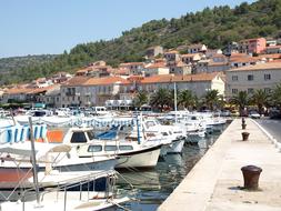 Vela Luka Croatia Holiday