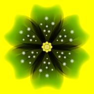 Christmas Flower Nature