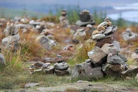 Beautiful Amazing Unique Fairy