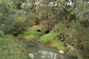 River Tunnels Nature