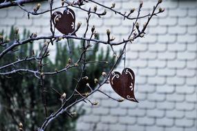 Nature Decoration Garden