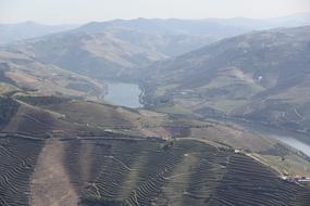 Douro Wine Portugal