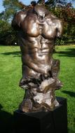 Male Man Torso statue