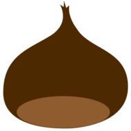 chestnut chestnuts autumn curly