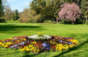 Flower Greizer Park Places Of