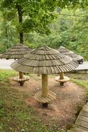 Wooden Umbrellas Table