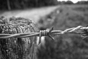 Barbed Wire Fence