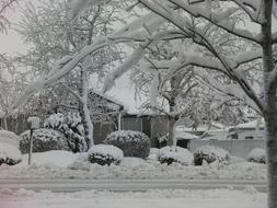 Snowy Day Snow Winter