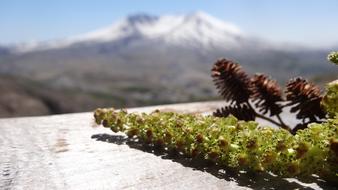 Nature Landscape Outdoors