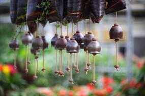 Flowers Plants Flower Market