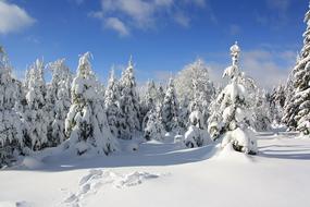 Heritage Head Hunsruck Winter