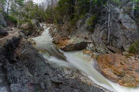 Water Natural Stream in forest