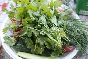 ripe green vegetables