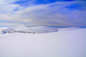 Infinite Freedom Landscape