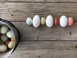 funny eggs on the table