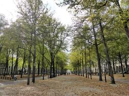 Nature Autumn Herfsttafreel