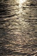 Background Nature Abstract