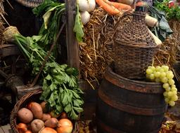 fruit and vegetable harvest