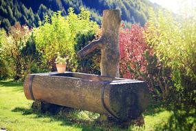 Autumn Fountain Tree