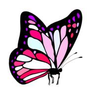 butterfly pink cute drawing