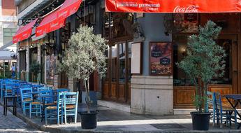 cozy cafe with trees