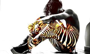 Isolated Stripe Nature