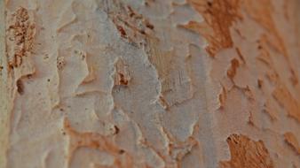 Background Texture Pattern