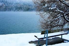 Bench Snow White The