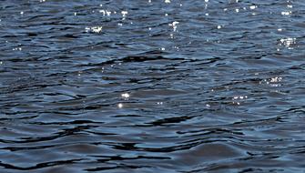 Waters Nature Reflection