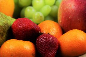 Fresh ripe fruit