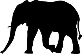 african nature big character