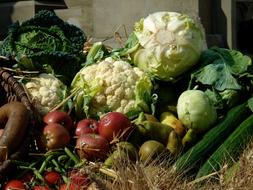 Thanksgiving Pumpkins Vegetables