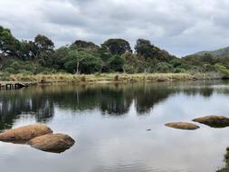 Water Nature Seashore