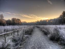Landscape Winter Nature
