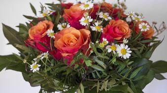 Flower Bouquet Floral