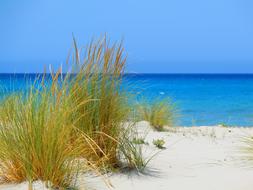 Beach Sardinia