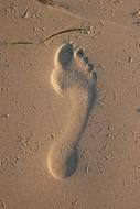 Footprint Sand Beach