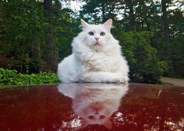 Nature Outdoors Portrait