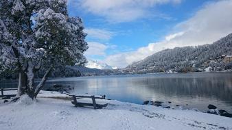Bench Winter Landscape
