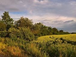 Landscape Nature Panoramic