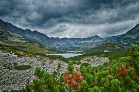 Mountains Tatry The Valley Of