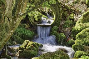 Creek Nature Waterfall