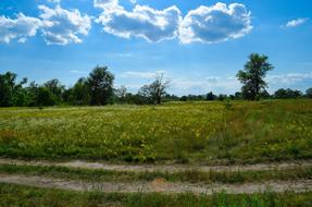 Field Sky Landscape