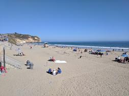 Beach Nature