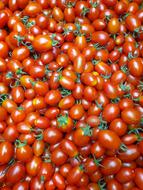 background of red tomatoes